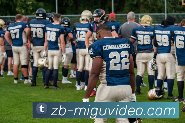 多媒体互动体验